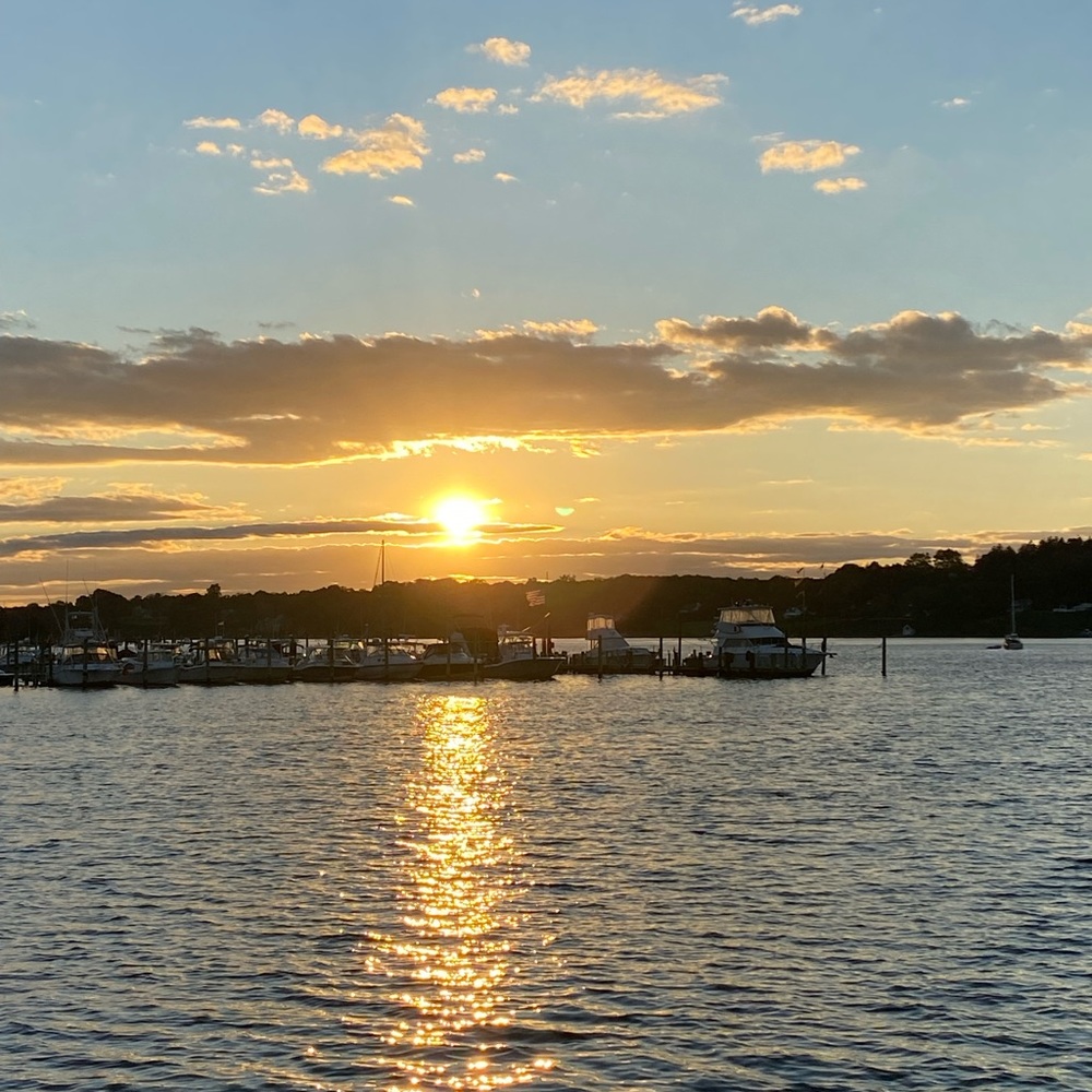 Meet your Posher, Donna